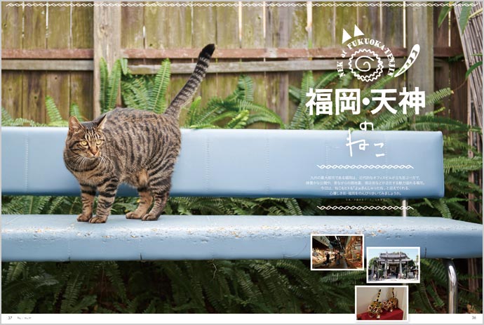 ねこの詳細