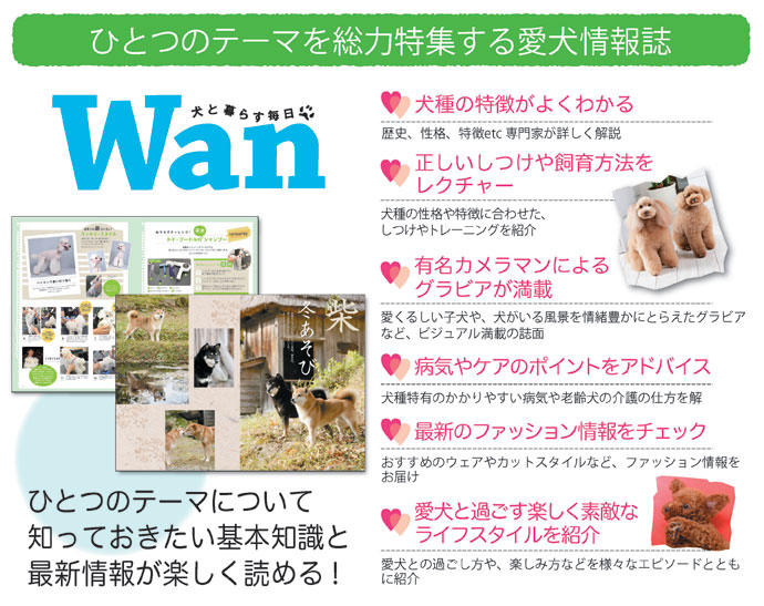 wan(わん)の詳細