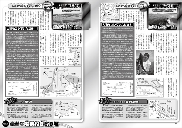 磯投げの詳細